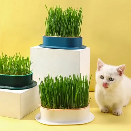 Bac à herbe pour chat en forme de rectangle