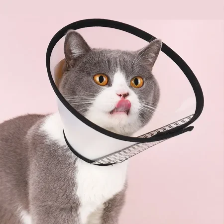 Collier Elizabethan Anti-rayures Pour Chiens Et Chats