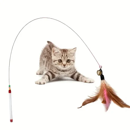 Jouet À Plumes Pour Chat