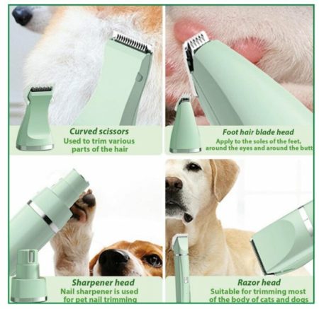 tondeuse pour chat et chien