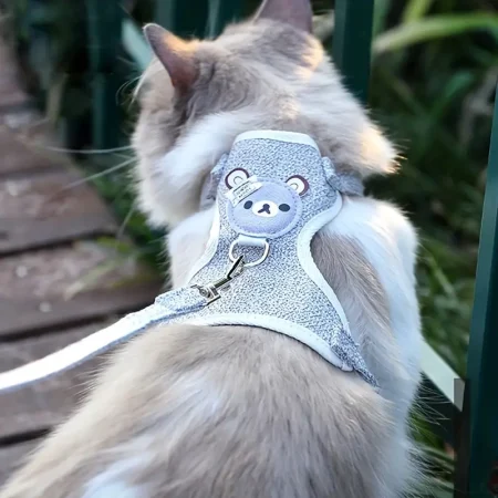 harnais avec laisse pour chat