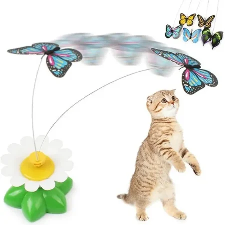 jouet chat interactif jouet electrique papillon jeux chat chaton