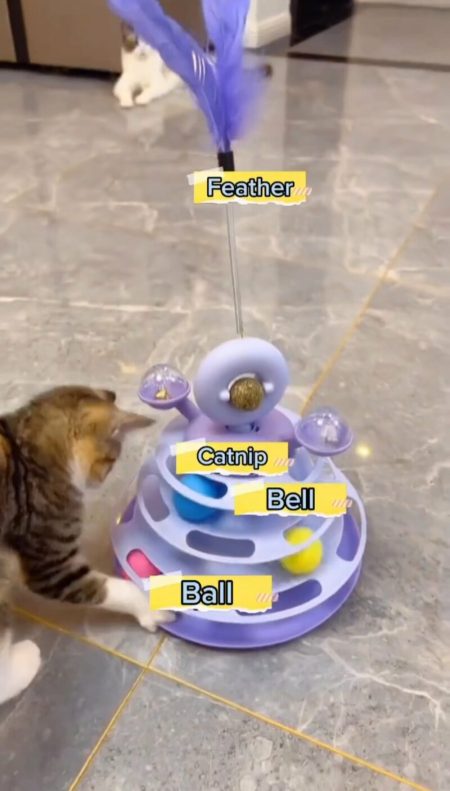 Tour de jeu interactive pour chat