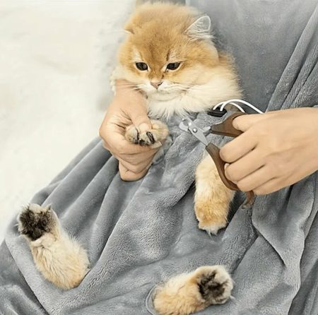 Un tablier pour chat avec un sac