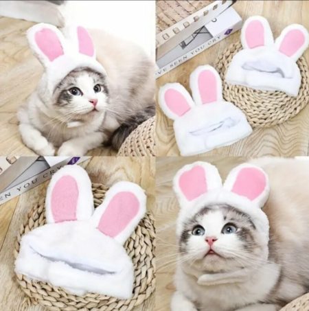 Chapeau d’animal mignon avec oreilles de lapin