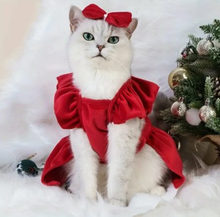 Costume De Noël Pour Animaux De Compagnie, Jupe De Chat Au Style Princesse