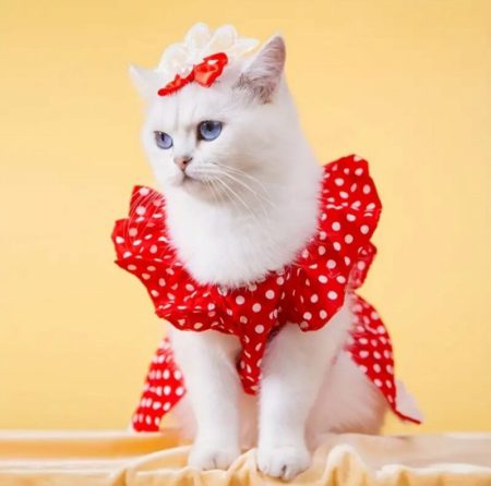 Robe pour animaux de compagnie à pois avec nœud papillon et manches à volants