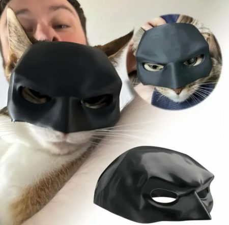 Costume de chat Batcat