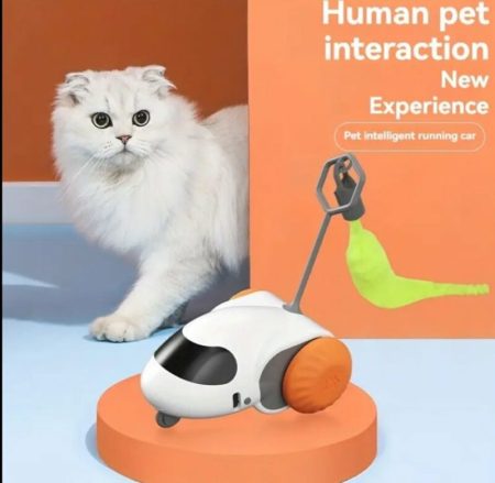 PROMOTION Jouets interactifs pour chat