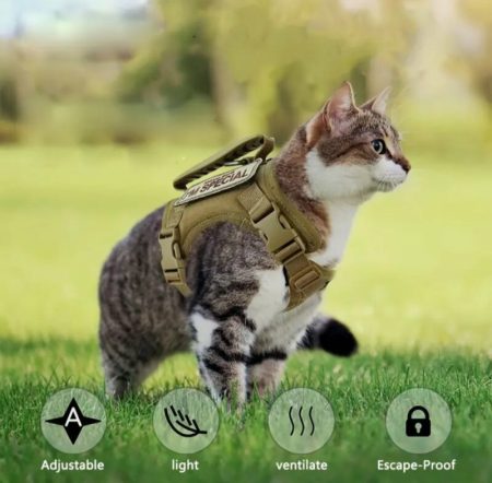 600D Gilet Tactique pour Chat