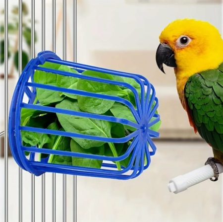 1pc Panier d’Alimentation pour Perroquets Porte-Fruits et Légumes,