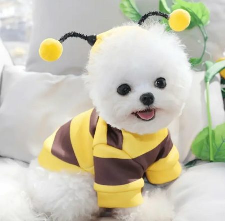 Pullover de costume d’abeille pour petits et moyens animaux de compagnie
