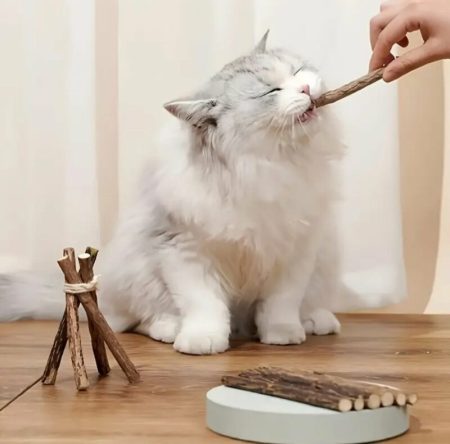 Bâtonnets à Mâcher en Bois Naturel pour Chat, Bâtonnets Interactifs pour la Santé des Dents