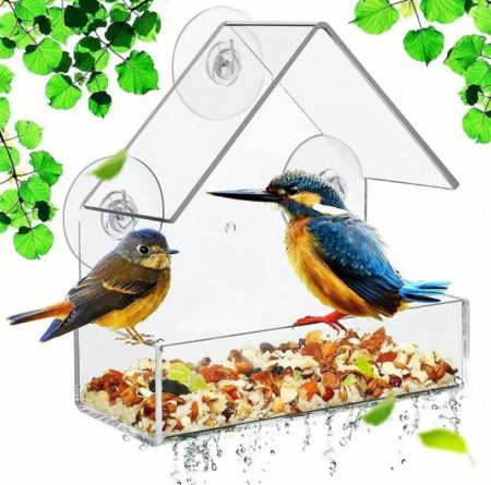 Mangeoire À Oiseaux de Fenêtre Pour L’extérieur