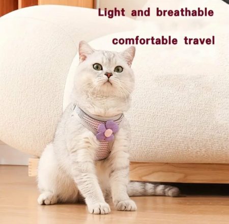 Aventures en Plein Air, Harnais Réfléchissant Ajustable et Confortable pour Chat avec Fleur Décorative