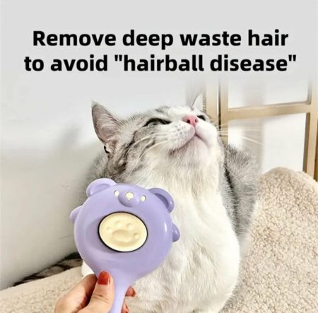 Brosse plastique ours pour chat, toilettage massage anti-poils