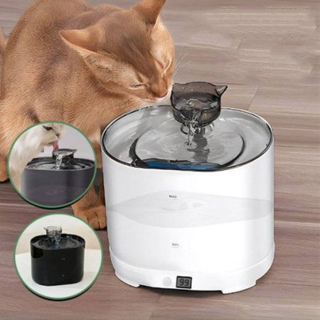 Fontaine à Eau pour Chat avec Détecteur de Mouvement – Hydratation Facile et Sûre