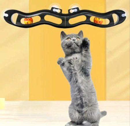 Jouet interactif ventouse avec balle et rouleau pour chat
