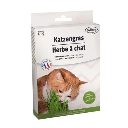 Herbe à chat, à brocher, 100g