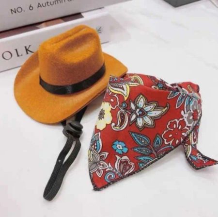 Chapeau cow-boy avec écharpe pour chiens et chats